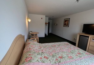 Cozy Petite Queen Suite with Free Breakfast!