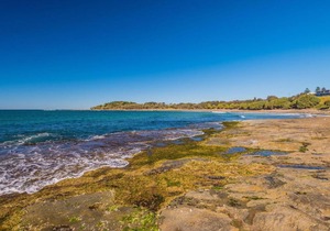 Craigmore On the Beach Unit 13 - views views