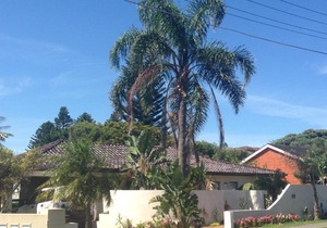 Cronulla Beach House B&B