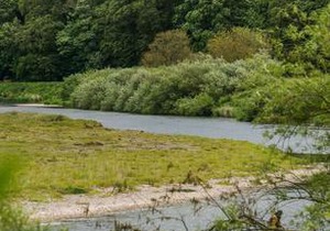 Cross View, Norham
