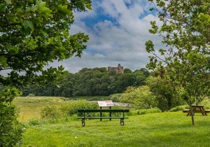 Cross View, Norham