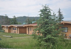 Cute 2/1 Cabin With Full Kitchen And Teton Views