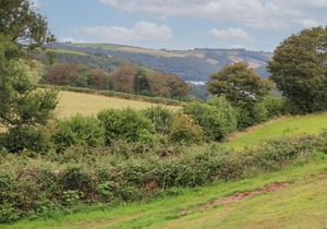 Dartview Norton Park
