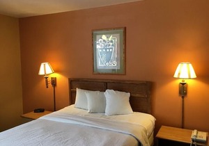 Days Inn by Wyndham Henrietta Rochester Area