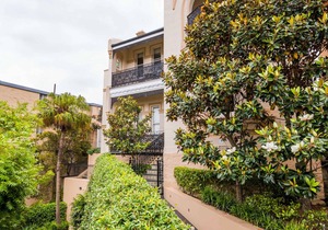 Designer Styled Studio in Central Trendy Glebe