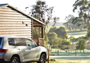 Diamond Forest Farm Stay
