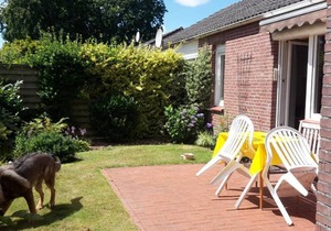 "Die Schönsten Tage mit dem Hund "Ferienhaus " im Kurpark Hage-Berum " Nordseeküste"