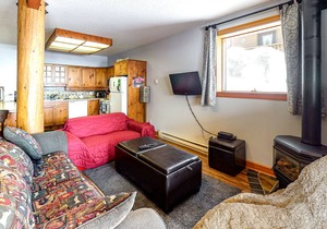 Dog-friendly condo free WiFi, washer/dryer, gas stove, & balcony - walk to lifts
