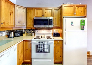 Dog-friendly condo free WiFi, washer/dryer, gas stove, & balcony - walk to lifts