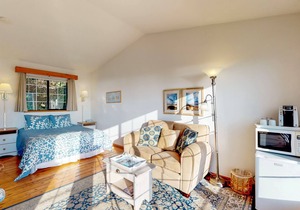 Dog-Friendly Oceanfront Suite with Beautiful Views, Free WiFi, and Cheery Decor