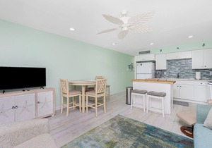 Dolphin 204 on Lemon Bay