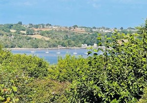 Donore - Quintessential English Cottage close to Dittisham Quay