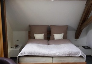 Double Room - Alter Winzerhof - Guesthouse