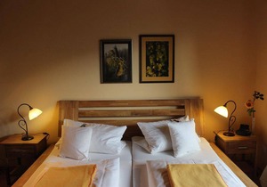 Double room, shower or bath, toilet, no smoker