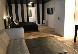 Downtown Contemporary Vintage Hardwood Floors Immaculate!