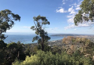 Dream Views at Arthurs Seat B & B