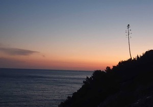 Dubrovnik, Modern, Spacious, Sea View, Large Terrace, BBQ, Free Private Parking