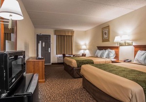 Econo Lodge Inn & Suites Lugoff