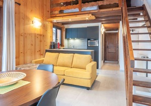 Efanle 3 - Ski in ski out 4 persons apartment