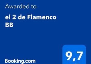 el 2 de Flamenco BajoB