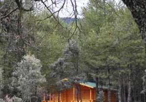 El Llano de los Conejos Serranía de Cuenca