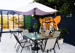 El Tigre de Santiago