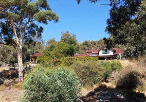 Eleebana Guest House