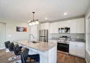 Enjoy Indian Lake in a brand new vacation rental next to the lake walking path