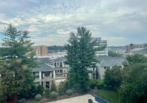 Entire 1-bedroom apartment in Arlington, VA
