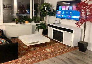 Entire 1-bedroom apartment in Arlington, VA