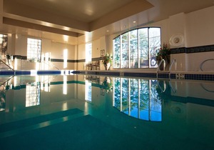 Equipped King Suite with FREE SHUTTLE | Free Breakfast + Gym Access