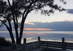 Estuary Waterfront - stunning views!