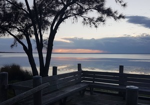 Estuary Waterfront - view from your Balcony!