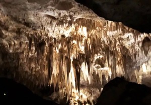 (F1) Enchanted Getaway ☀ Near River & Caverns❣