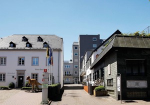 Fabry im Hof
