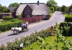 Ferien unterm Reetdach Whg 01