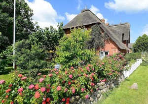 Ferien unterm Reetdach Whg 01