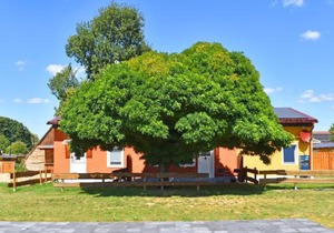 Ferienwohnung am Oase am Vilzsee