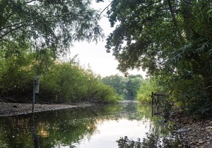 Ferienwohnung Schwanensee - Ferienwohnungen am Schwanensee