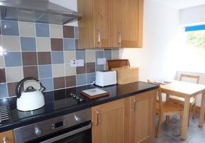 FFYNNON GOWER, family friendly, character holiday cottage in Bala