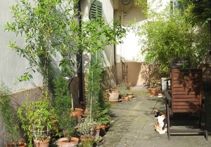 Flat In Vincennes, 15 minutes away from Paris City Center, 60m2