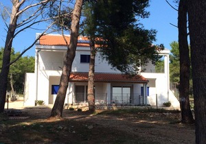 Four bedroom apartment with terrace Verunić, Dugi otok (A-15209-c)
