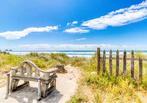 Four Dog-Friendly Rentals Near Beach Access - Ideal for Multi-Families