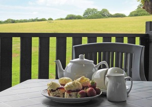 Foxglove Lodge - UK13448