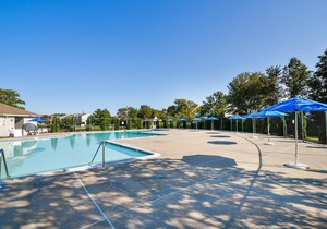 FREE DAILY ACTIVITIES INCLUDED, SHORT BIKE RIDE TO THE BEACH! MINI-WEEK PROGRAM - NEW KITCHEN FOR 2019!!