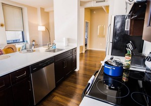 FREE IN/OUT PARKING| 2B/2BA Distinguished Apartment | Rooftop Deck & Gym
