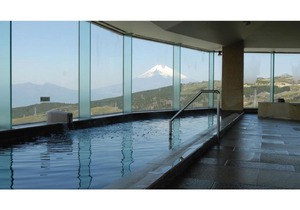 Fuji Hakone Land Schole Plaza Hotel - Vacation STAY 41083v