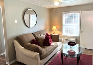 Fully Furnished Executive Rental 2-Bed 1-Bath Pets Allowed
