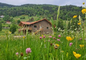 Gîte 4 étoiles à La Bresse, grand confort, proche station ski - FR-1-589-394