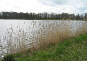 Gîte Communauté de communes Brenne - Val de Creuse-Douadic, 3 pièces, 5 personnes - FR-1-591-38